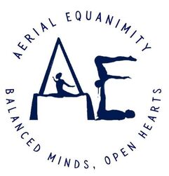 Aerial Equinimity Logo
