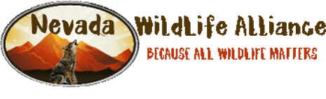 Nevada Wildlife Alliance banner logo