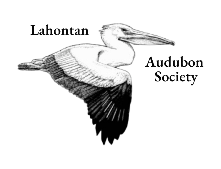 Lahontan Audubon Society logo